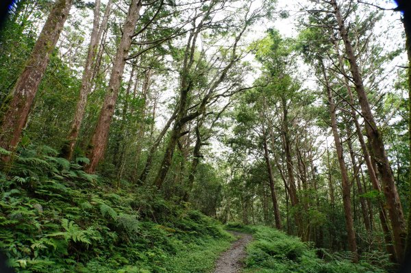 宜蘭 大同 加羅山2890258