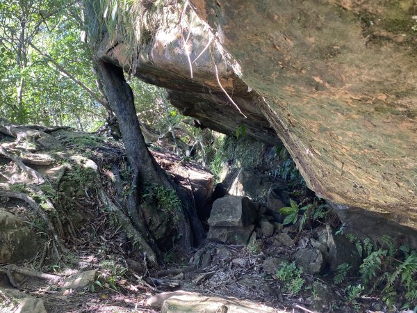 2025微笑山線大縱走尋寶集章任務-Ep.10【五分山系】菁桐煤礦段｜石筍尖 ×2914471