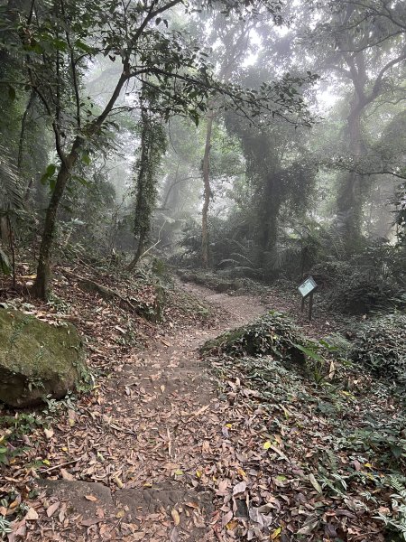 崁頭山步道｜上去後Ｏ型 左上 右下1909780