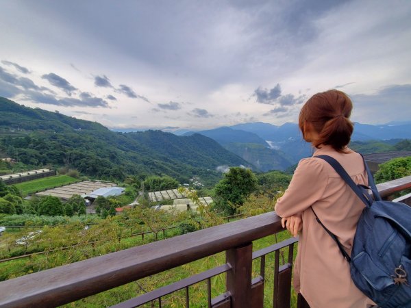 【嘉義 | 特富野】1069279