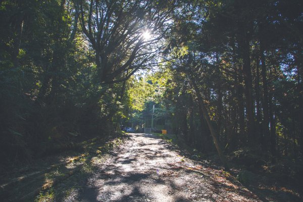 20191004~06-[新竹] 500塊上的大霸尖山1817035