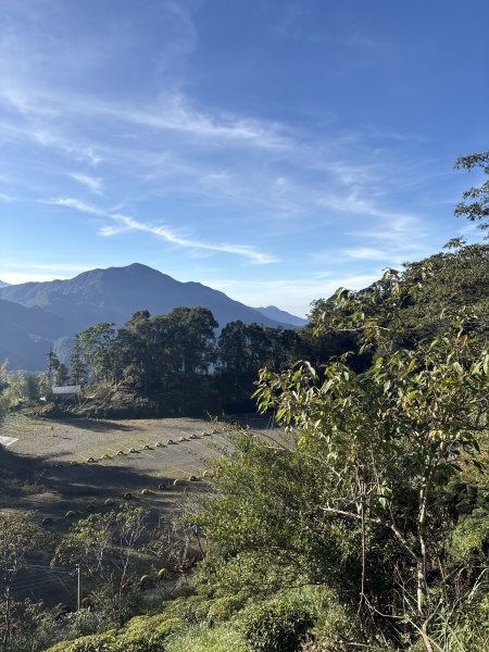 20251207藤枝山步道2957621