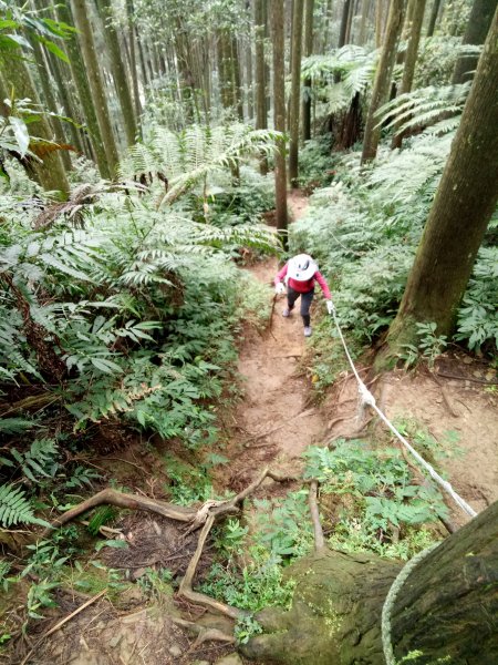 三角湖山向天湖山光天高山O形1911611