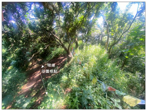 大坑10號、圖根點、9號步道、軍功寮山 O遶3116871
