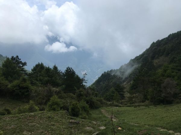 鹿林山388546