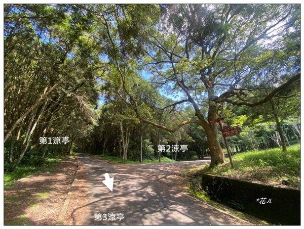 槌仔寮山、槌仔寮山西南峰、金龍山步道 連走2846695