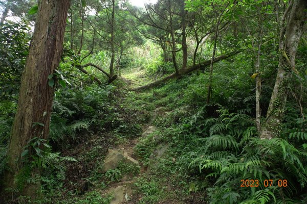 宜蘭 礁溪 鵲子山、五峰旗山、後湖子山2211638