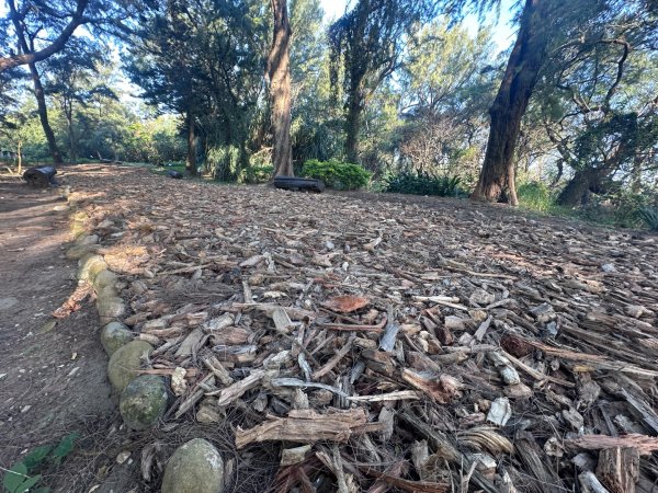 永安漁港、新屋海濱植物園2657310