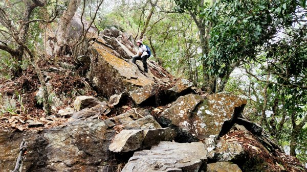 波津加山，太平蝙蝠洞延伸步道，福田賞桐生態步道，美崙山步道，台東鯉魚山2005053