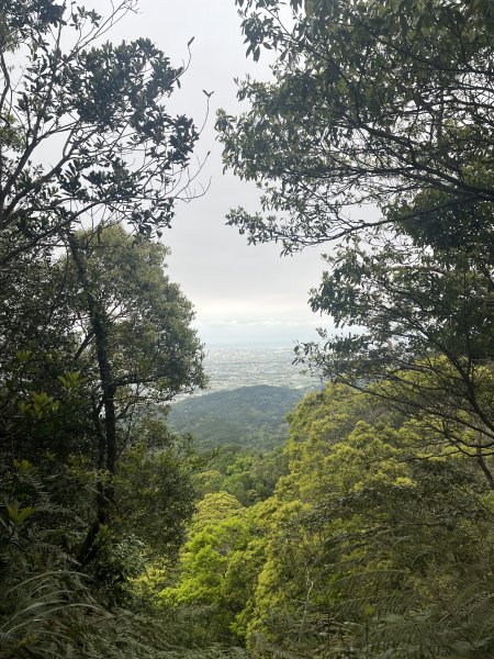 2024/03/29火炎山2749038