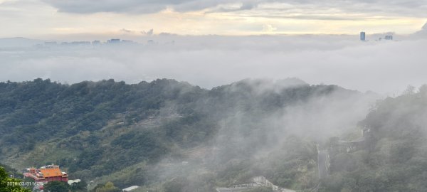 #雲瀑 #雲海 #琉璃光 #天空之城（林口）#觀音山 #林梢步道 3/13008594