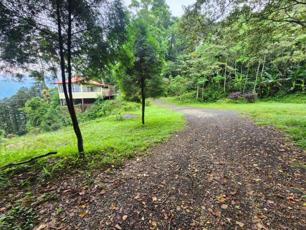 20250427大山背山田寮山毬子山騎龍山2933639