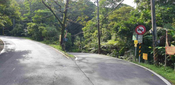 汐止和平鴿健走○型路線2882034