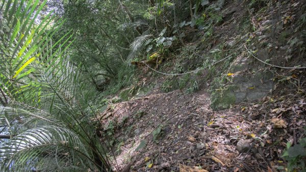 闊瀨古道-沿北勢溪谷而行的夏末之旅（淡蘭古道）2287662