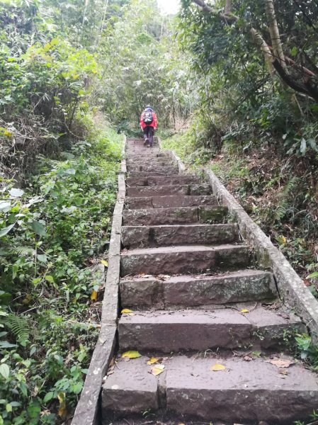 魔王級尖山步道·陡上陡下陡不完1222305