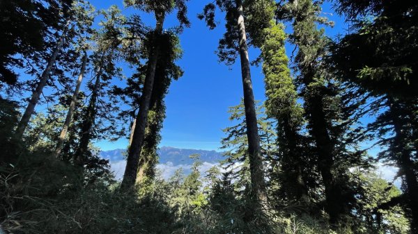 北ㄧ段-審馬陣-南湖北山-南湖北峰-南湖大山-南湖東峰2859115