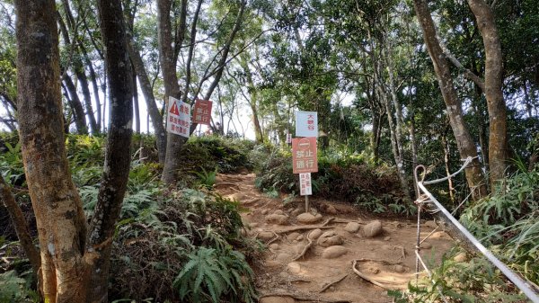 苗栗火炎山737400