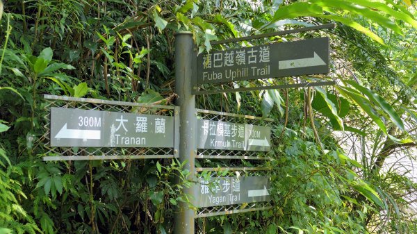 福山部落,內洞森遊區2552388