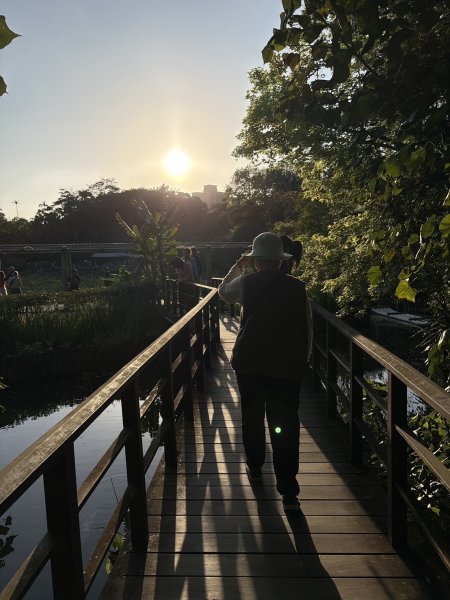 台北 植物園步道3019068