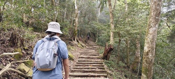 馬那邦山(上湖登山口)-2026/04/183040597