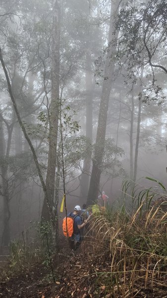 【這樣走波津加也行！】大雪山下波津加進谷關。3025918