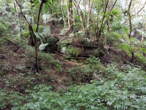 雷公埤山-鱷魚島觀景-小格頭獅頭山2001513