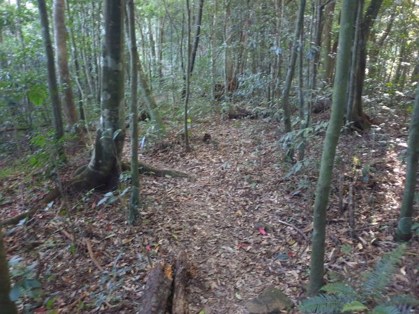 志繼山、東眼山、拉卡山1561243