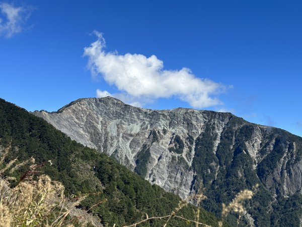 【南橫三星】單日百岳路線｜塔關山＋關山嶺山｜一探南橫的神秘面紗1931412