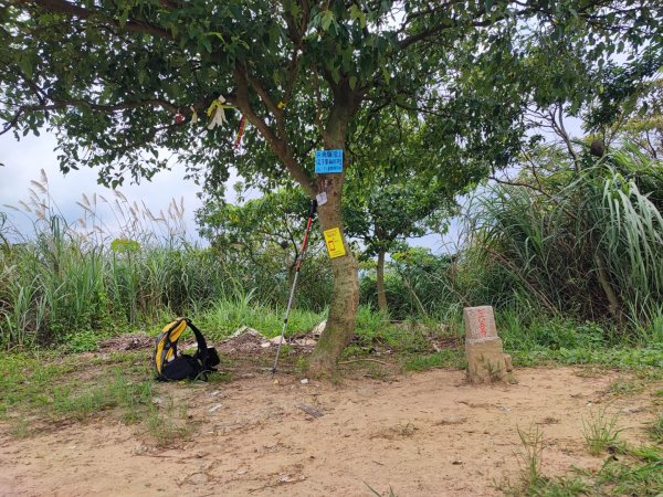 大棟山/樹林防災雷達站-小百岳#15-新北市樹林區2246903