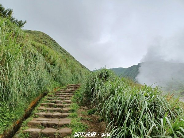 【台北北投】搭捷運公車爬山趣。 小百岳集起來。編號2小百岳~七星山步道1766564