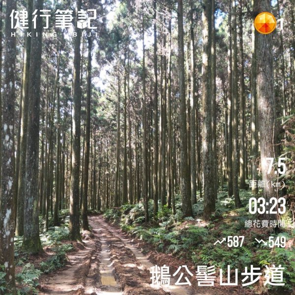 小百岳(31)-鵝公髻山-20220405