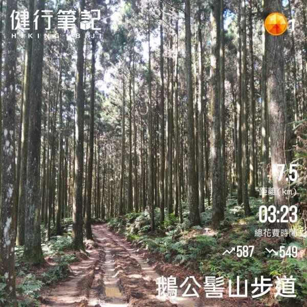 小百岳(31)-鵝公髻山-202204051669070