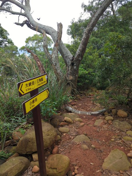 2025.07.12－火炎山、南鞍古道O行縱走2834820