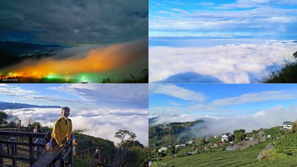 阿里山 #隙頂二延平 #頂石棹 #觀音圈 #雲海 #琉璃光 #雲瀑 #霧虹 11/172649879