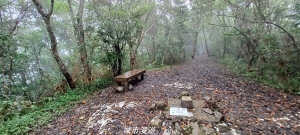 【花蓮壽豐】適合全家健行的步道。 小百岳集起來。 編號90小百岳-月眉山步道