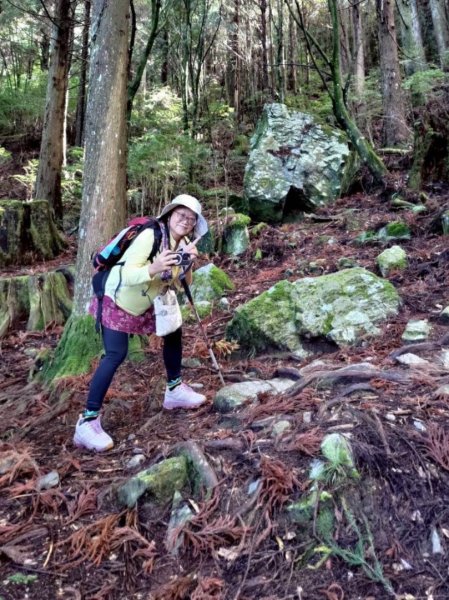 觀霧-榛山步道2926043