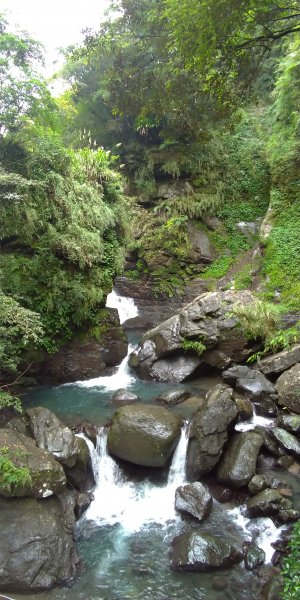 滿月圓森林步道509222