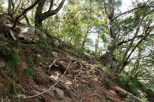 臺中 和平 屋我尾山、十文溪山2699446