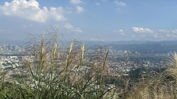 20231105三角埔頂山2354460