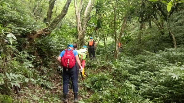 雙溪區烏山古道西線-大湖尾古道支線-大湖尾古道O型3098469