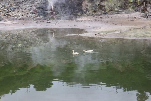 〔北投〕硫磺谷環狀步道，龍鳳谷地熱景觀區步道，磺溪溫泉步道2150684