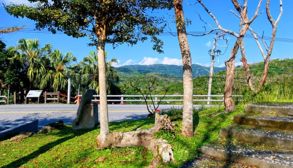 洄瀾東海岸3006636