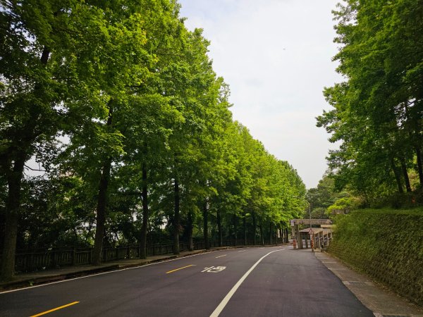 2025年臺北大縱走第七段：世界山莊至飛龍步道政大後山