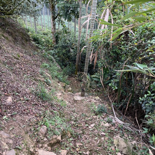 2023_0429_挑筍古道2138229