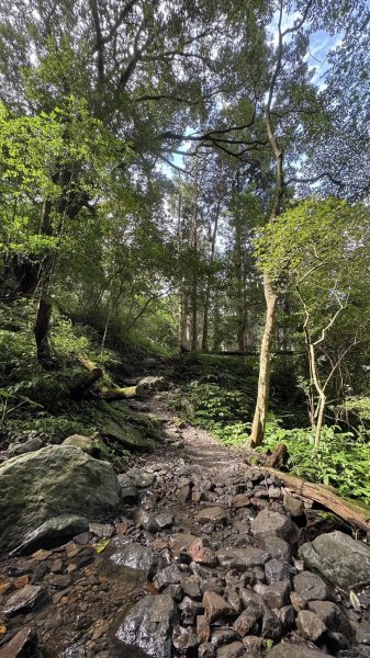 20250629三峽雲森瀑布2837794