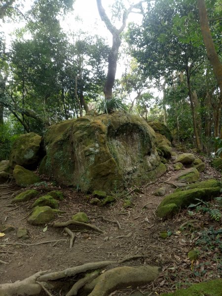 三峽鳶山+鳶山彩壁+五十分山(茅埔路起登)1876730