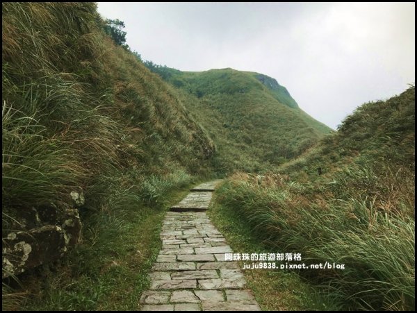 草嶺古道芒花開封面