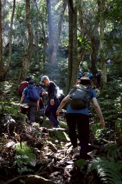 1140823油羅山2868148