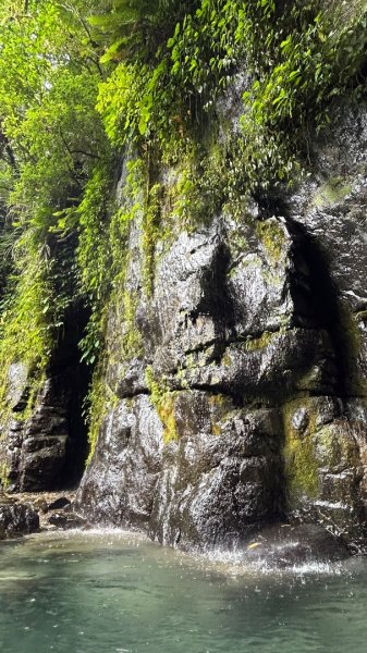 烏來卡拉莫基2972119