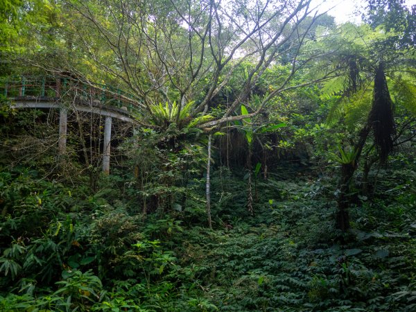 鳳凰谷鳥園2961147